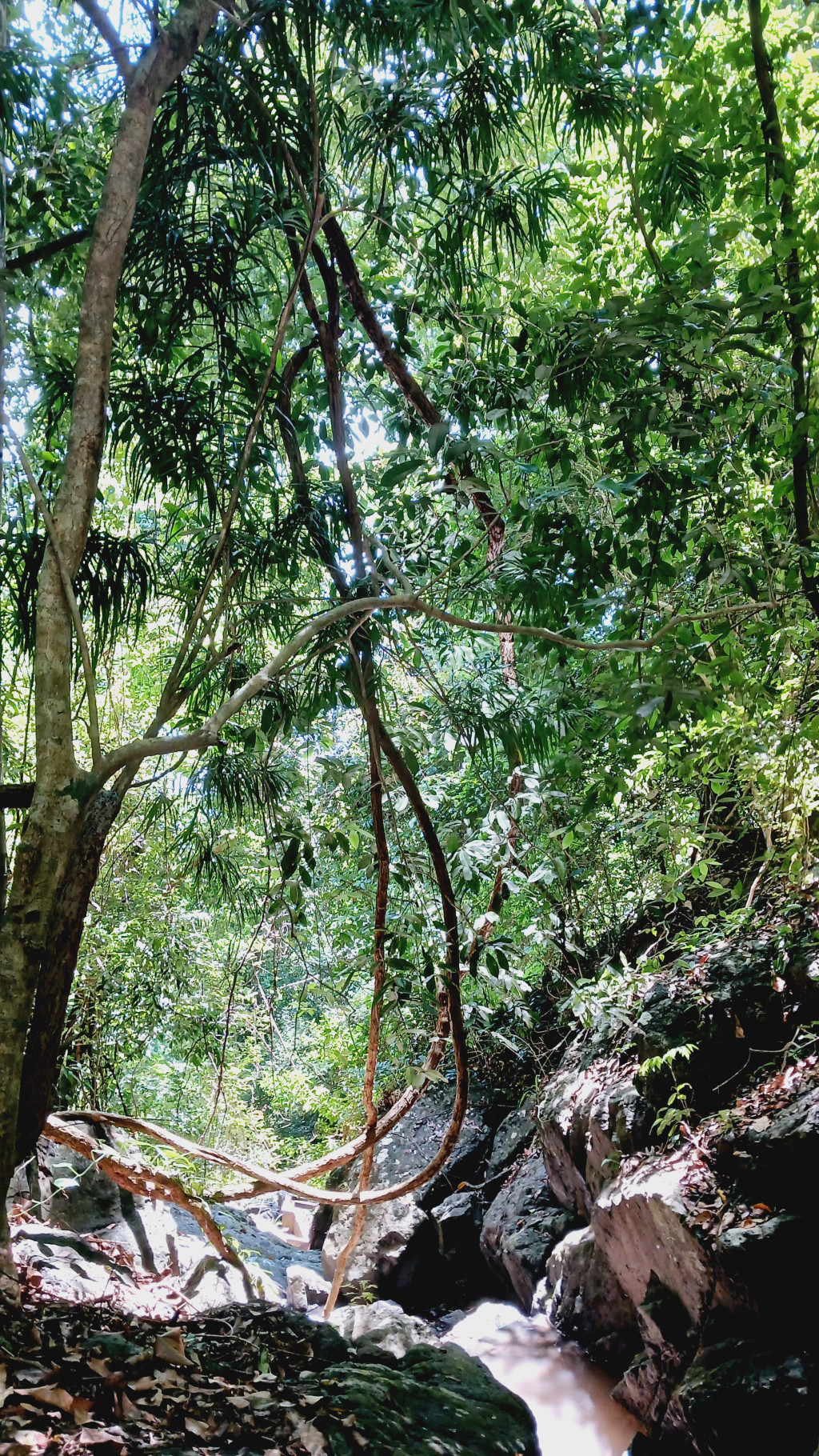 Sungai Di Desa Blang Situngkoh